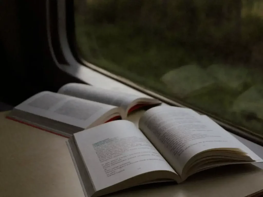 Zwei Bücher in einem dunklen Zug